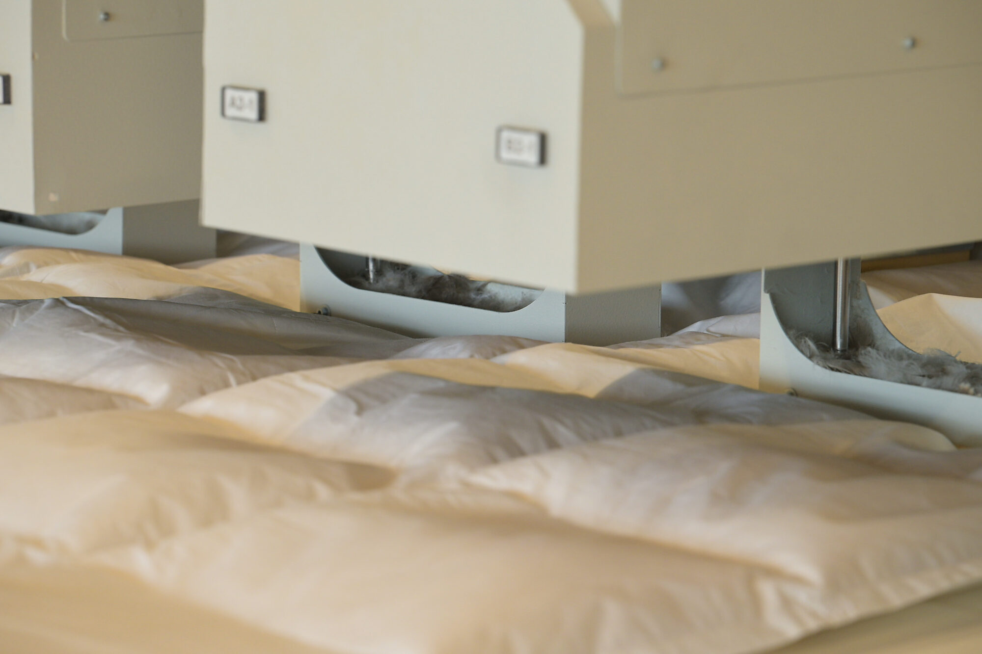 La linea di riempimento automatica: le teste dosatrici sopra i canali del piumone già gonfi